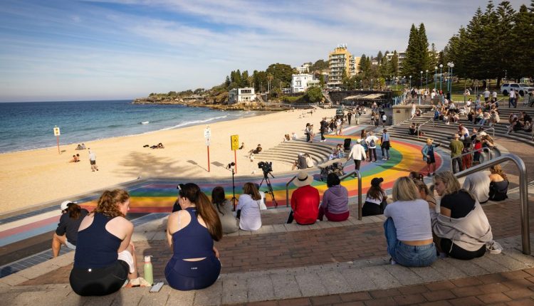 Australia Shark Attack