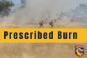 CAL Fire prescribed burn graphic