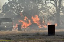 Turkey Fire - Calaveras Consolidated Fire Image