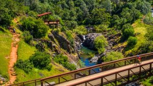 Sierra Nevada Conservancy Awards Wildfire Resilience Grants