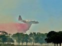 Owl Fire west of Keystone on Hwy 108—CAL FIRE photo