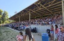 Rodeo attendance at 2026 Mother Lode Fair - Photo by Jason Banks