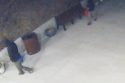 Images taken from security camera footage at SRT in East Sonora—Photo: Ruth Brown
