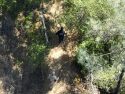 Conditions at the Big Bar Day-use area near Mokelumne Hill—CCSO photo