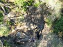 Conditions at the Big Bar Day-use area near Mokelumne Hill—CCSO photo