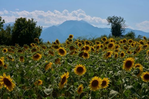 Greece UNESCO Mount Olympus