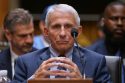 Congress Fauci