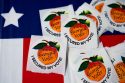 Georgia Elections Investigation