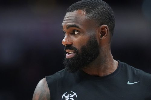 Heat Hardaway Basketball