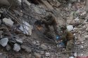 Venezuela Earthquake