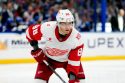 Red Wings Hockey