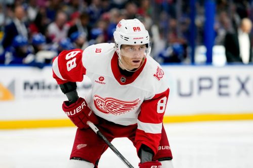 Red Wings Hockey