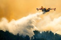 Western Wildfires