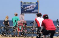 Federal Shark Alerts