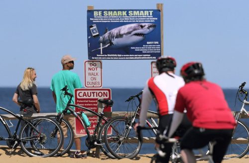 Federal Shark Alerts