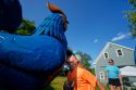 Maine Chicken Fight
