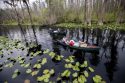 Okefenokee UN Designation