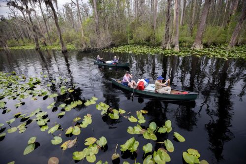 Okefenokee UN Designation