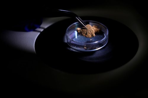 Brazil Amazon Gold Lab
