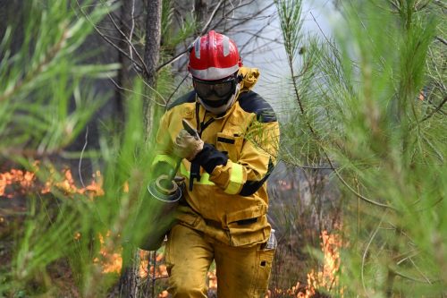 APTOPIX France Wildfires