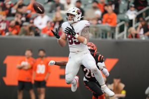 Top 5 Tight Ends Football