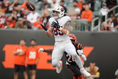 Top 5 Tight Ends Football