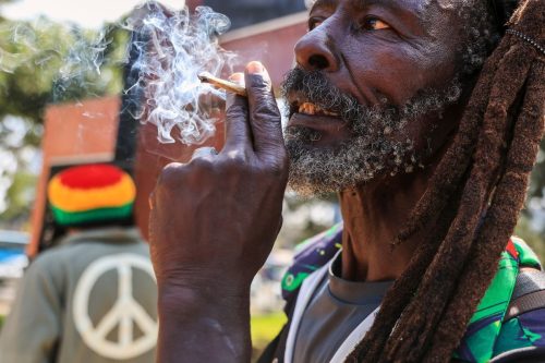 Kenya Marijuana