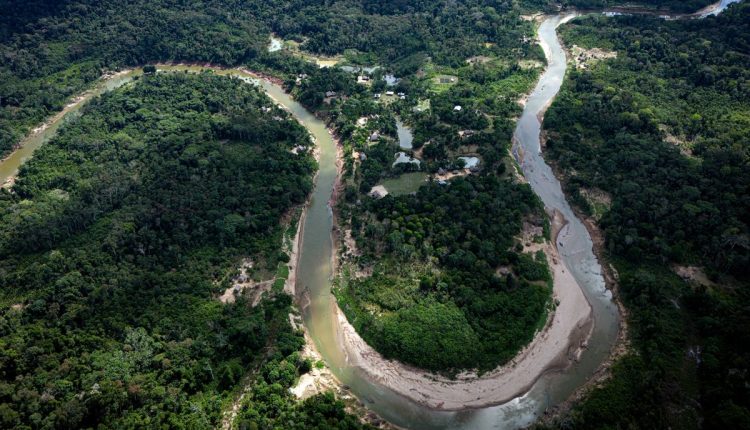Brazil Amazon Indigenous Crime