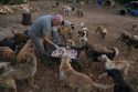 Lebanon Animal Shelter