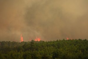 Spain Europe Wildfires