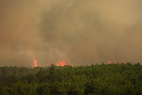 Spain Europe Wildfires