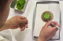 Mexican Three Michelin Stars