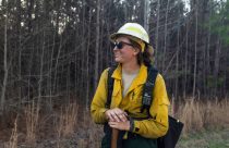 Wildland Firefighters