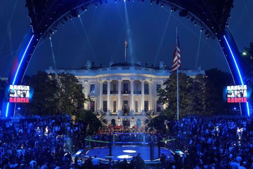 Trump UFC FBI Arrests