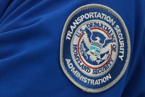 Trump TSA Nominee