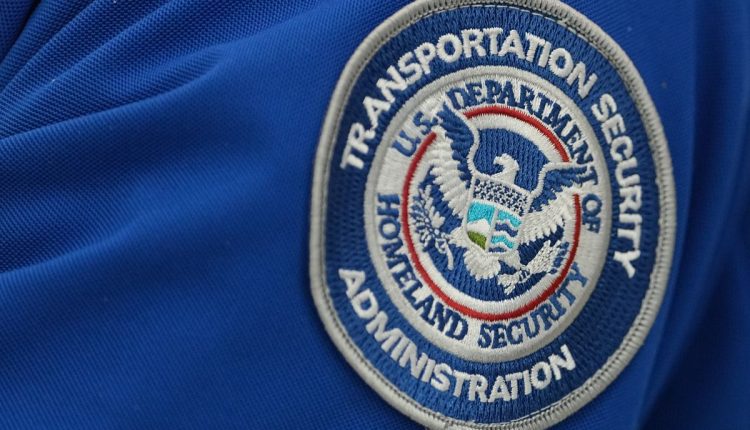 Trump TSA Nominee