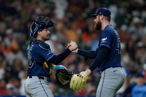 Rays Astros Baseball