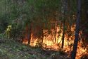 France Wildfires