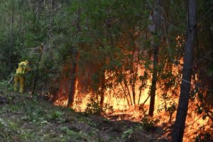 France Wildfires