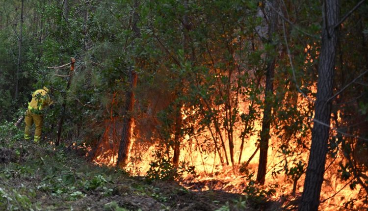 France Wildfires