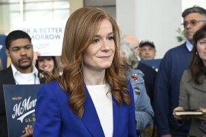 Election 2026 Michigan Senate
