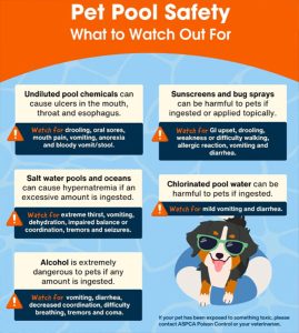ASPCA Pet Pool Safety graphic