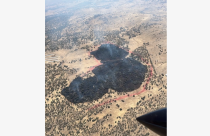 Owl Fire - CAL Fire image