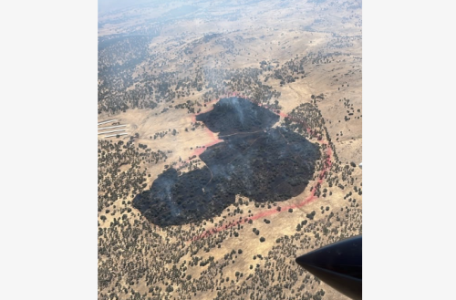 Owl Fire - CAL Fire image
