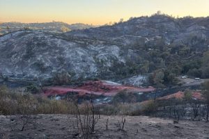 Dove Fire burn scar—CAL FIRE photo