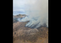 Elephant Fire - US Forest Service Image