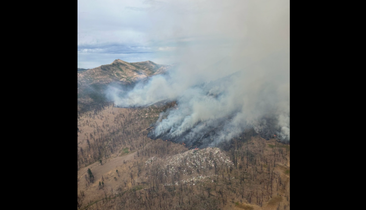 Elephant Fire - US Forest Service Image