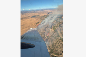 Fields Fire - CAL Fire Image