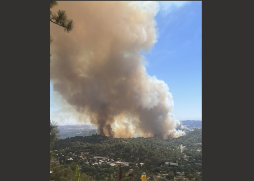 Dove Fire in Sonora - Karen Jensen Photo