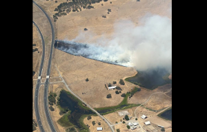 Wildcat Fire - CAL Fire Image